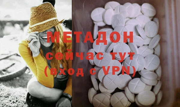 прущие грибы Богданович