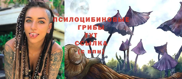 дмт Беломорск