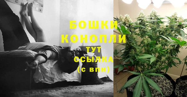 прущий лед Богородицк
