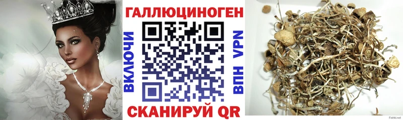 Псилоцибиновые грибы мицелий  Купить  Нелидово 